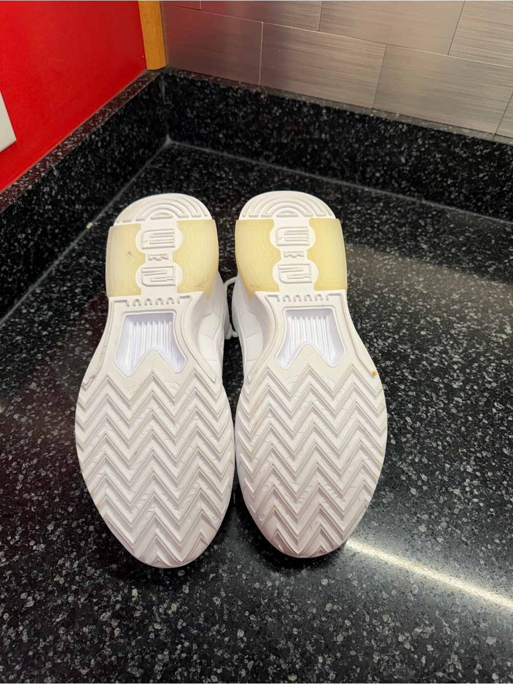 LeBron whiteness 9 basketball shoes